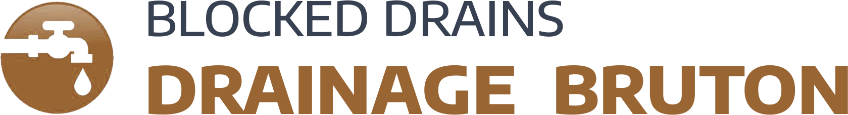 website logo